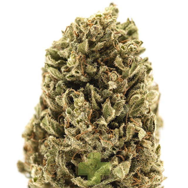 Photograph of product: Harla Tsu, SG - Eighth