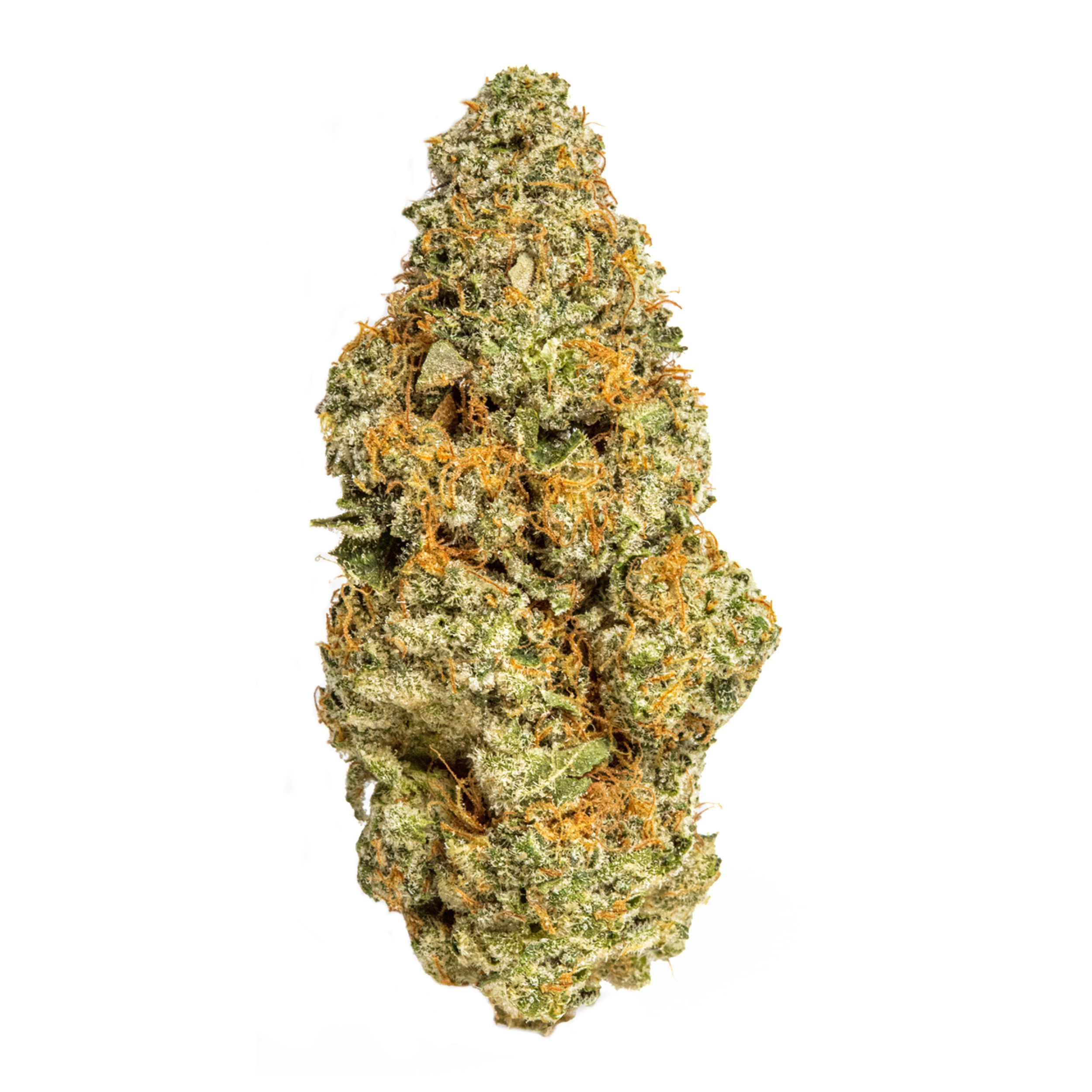 Photograph of product: Solstice Gardens - Oreoz - Bulk Bud - 28g