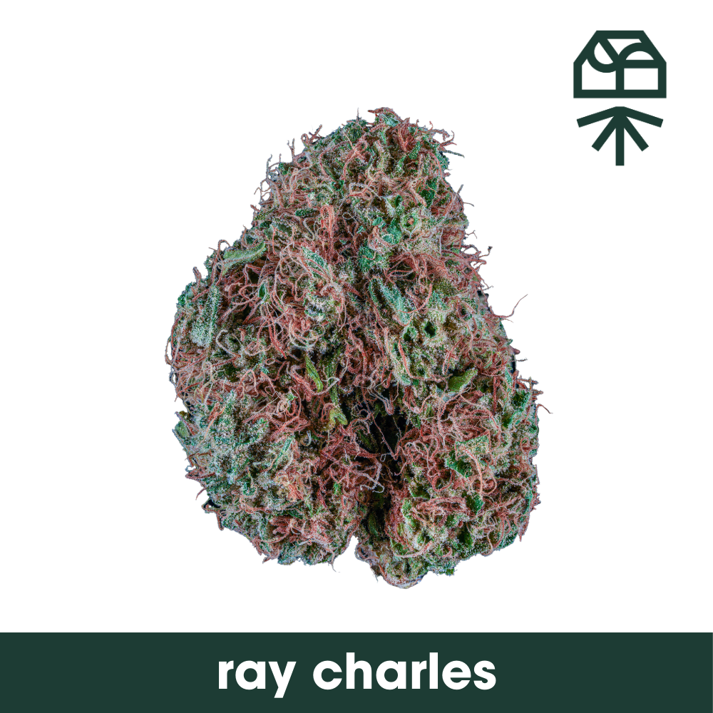 Photograph of product: Ray Charles Whole Flower 3.5g