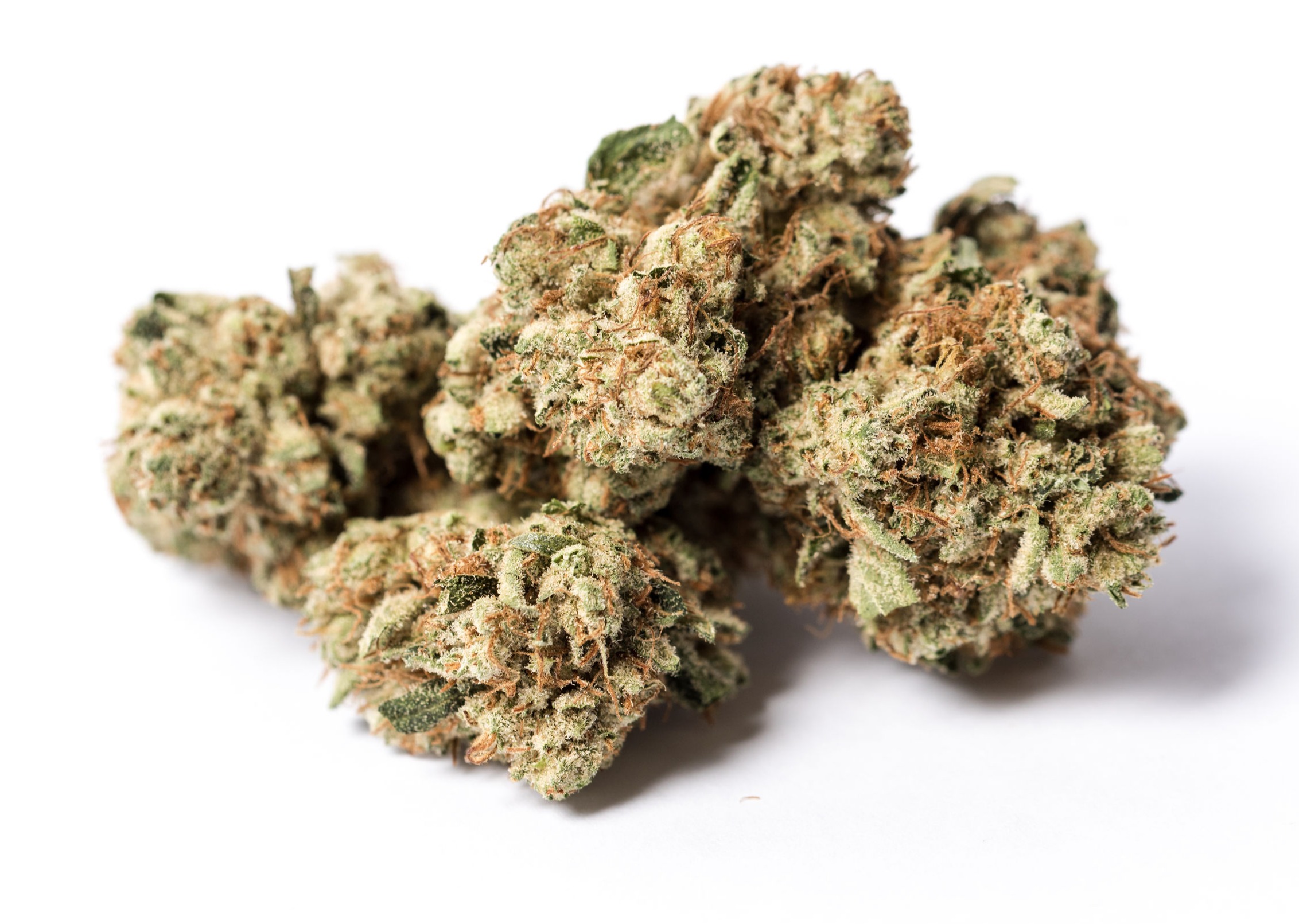 Photograph of product: King Louis XIII - 14g