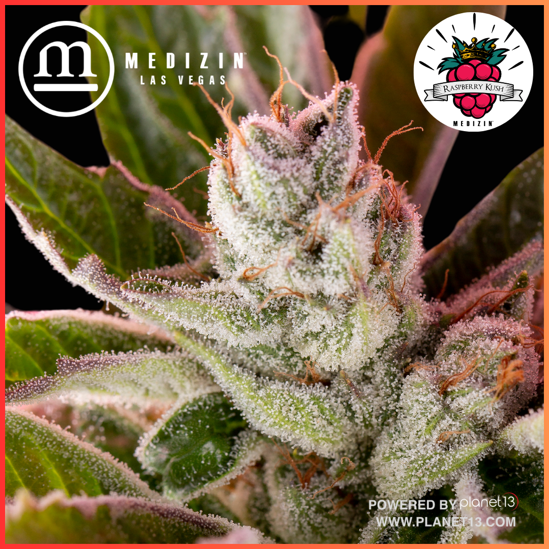 Photograph of product: Medizin Raz 3.5g Prepack