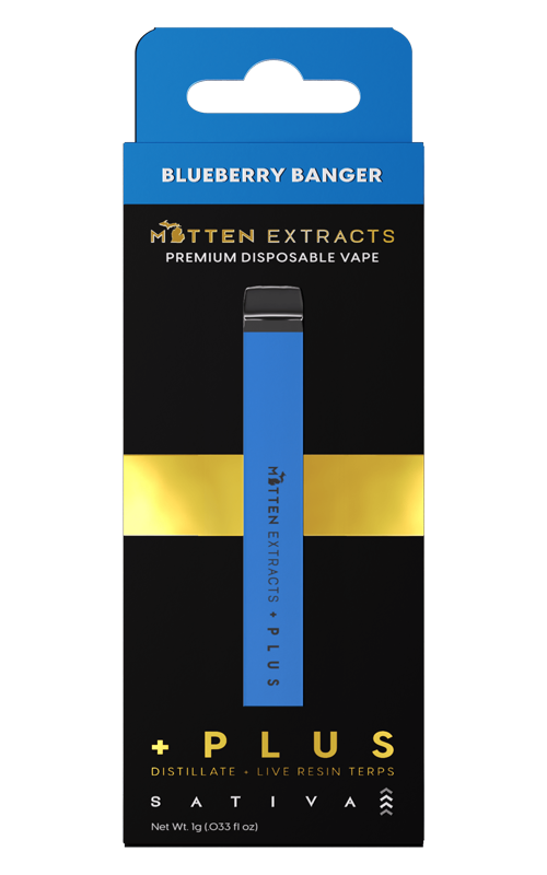 Photograph of product: Blueberry Banger Disposable