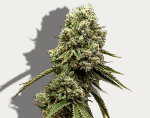 Photograph of Product: Souffle - Vertical Cannabis - 14g Pre-Packaged Small Buds