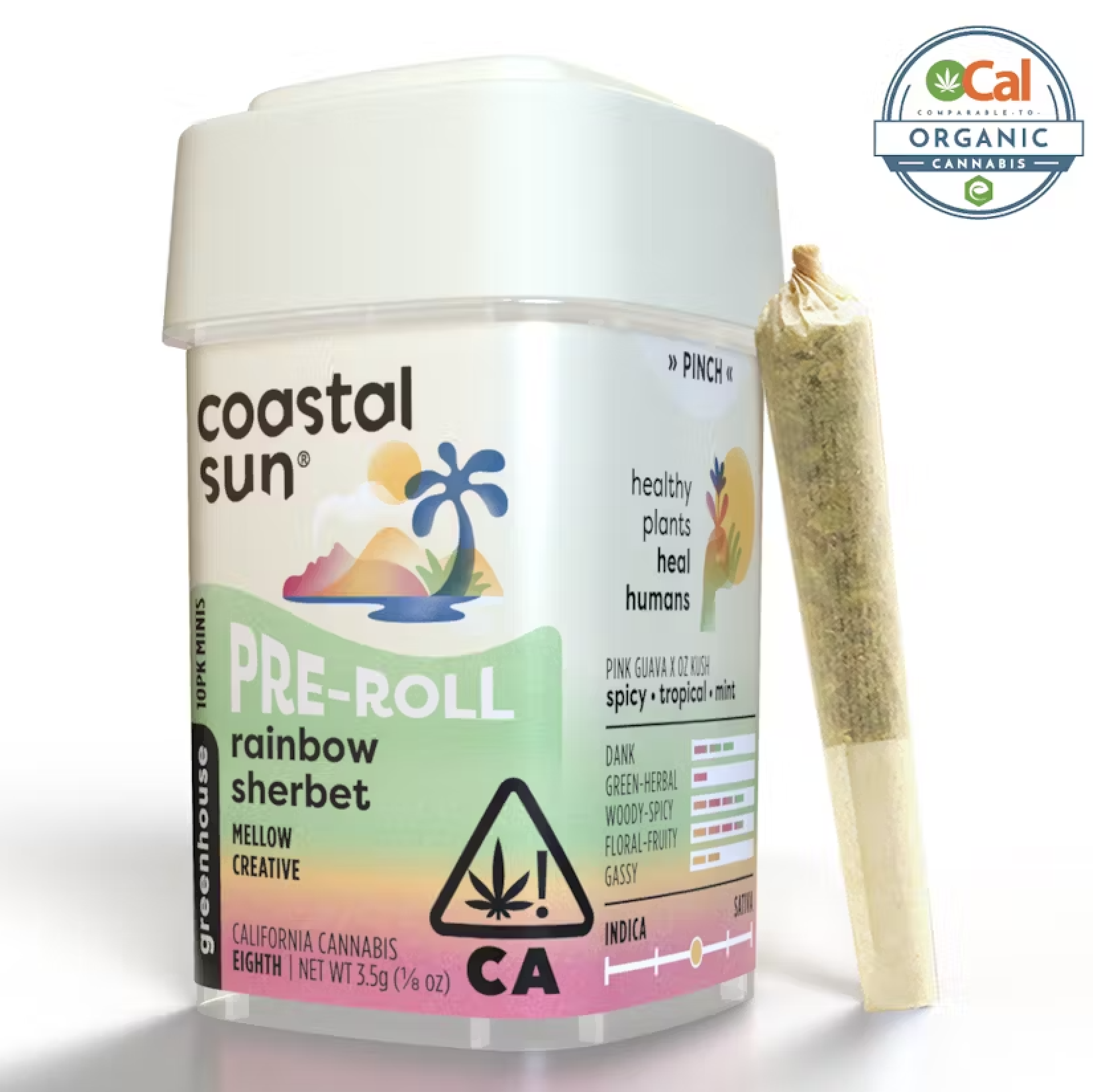 Photograph of product: Coastal Sun Preroll 10pk 3.5g - Rainbow Sherbet (H)