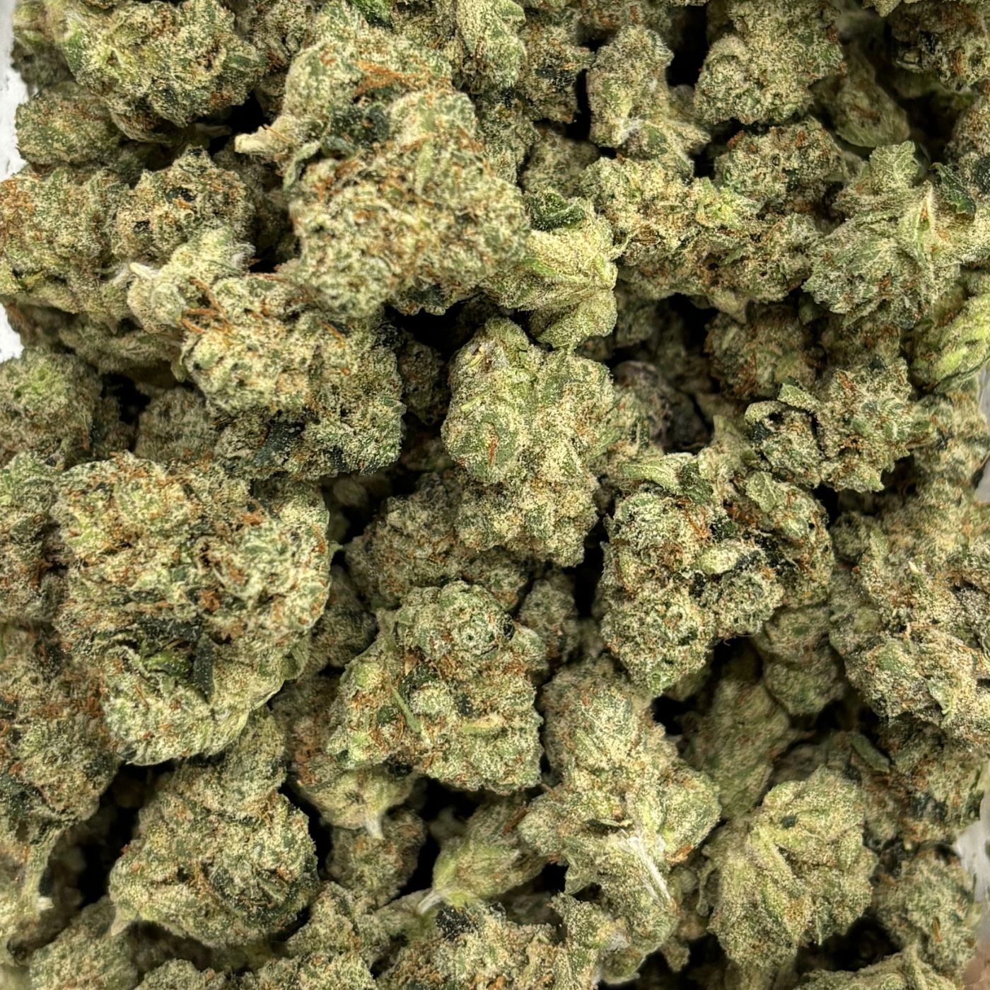 Photograph of product: Loud Tier Deli - Paris OG - 1g