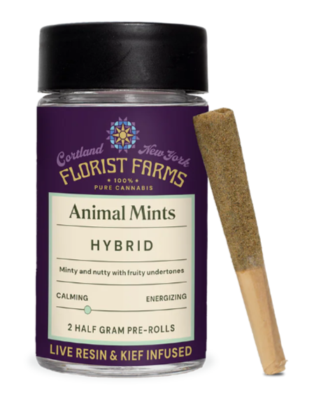 Photograph of Product: Florist Farms | Animal Mintz  | Live Resin Infused & Kief Coated  Prerolls | 2 Pack
