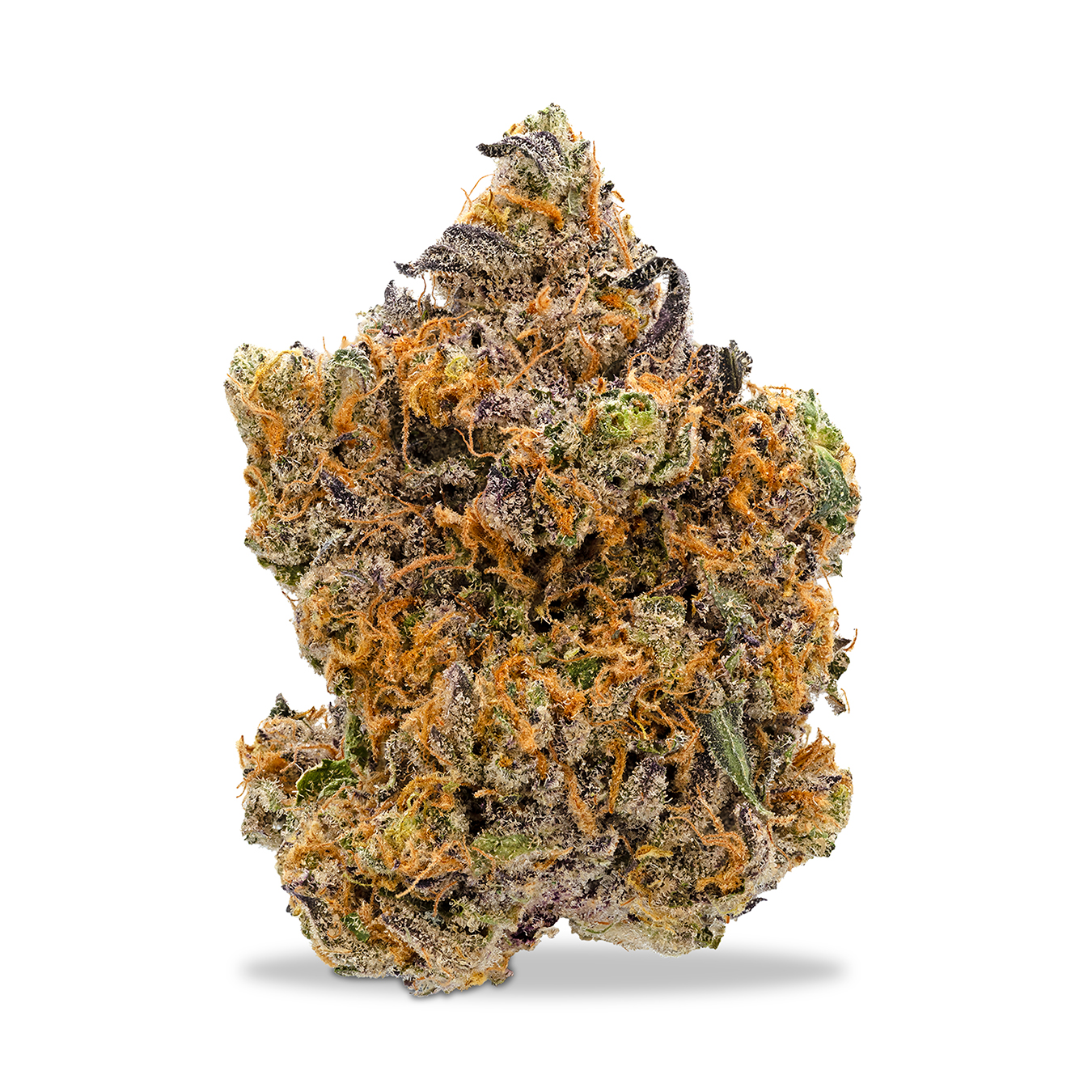 Photograph of product: Focus North - Black Patronas - 1g