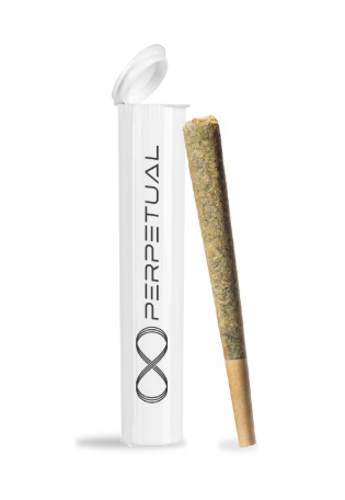 Photograph of product: Perpetual Golddust Preroll