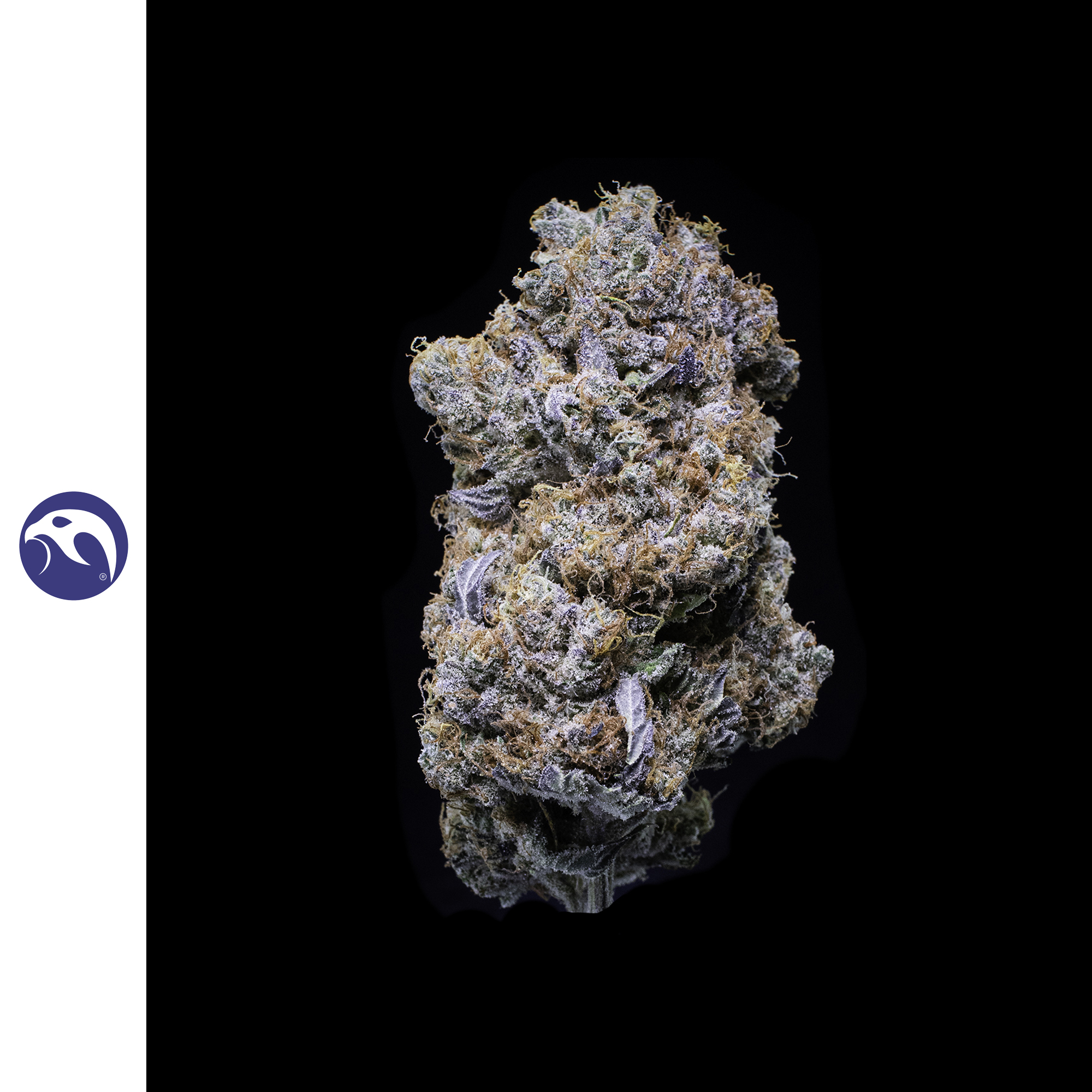 Photograph of product: Orange Blossom [DOH] - by Falcanna - 3.5g