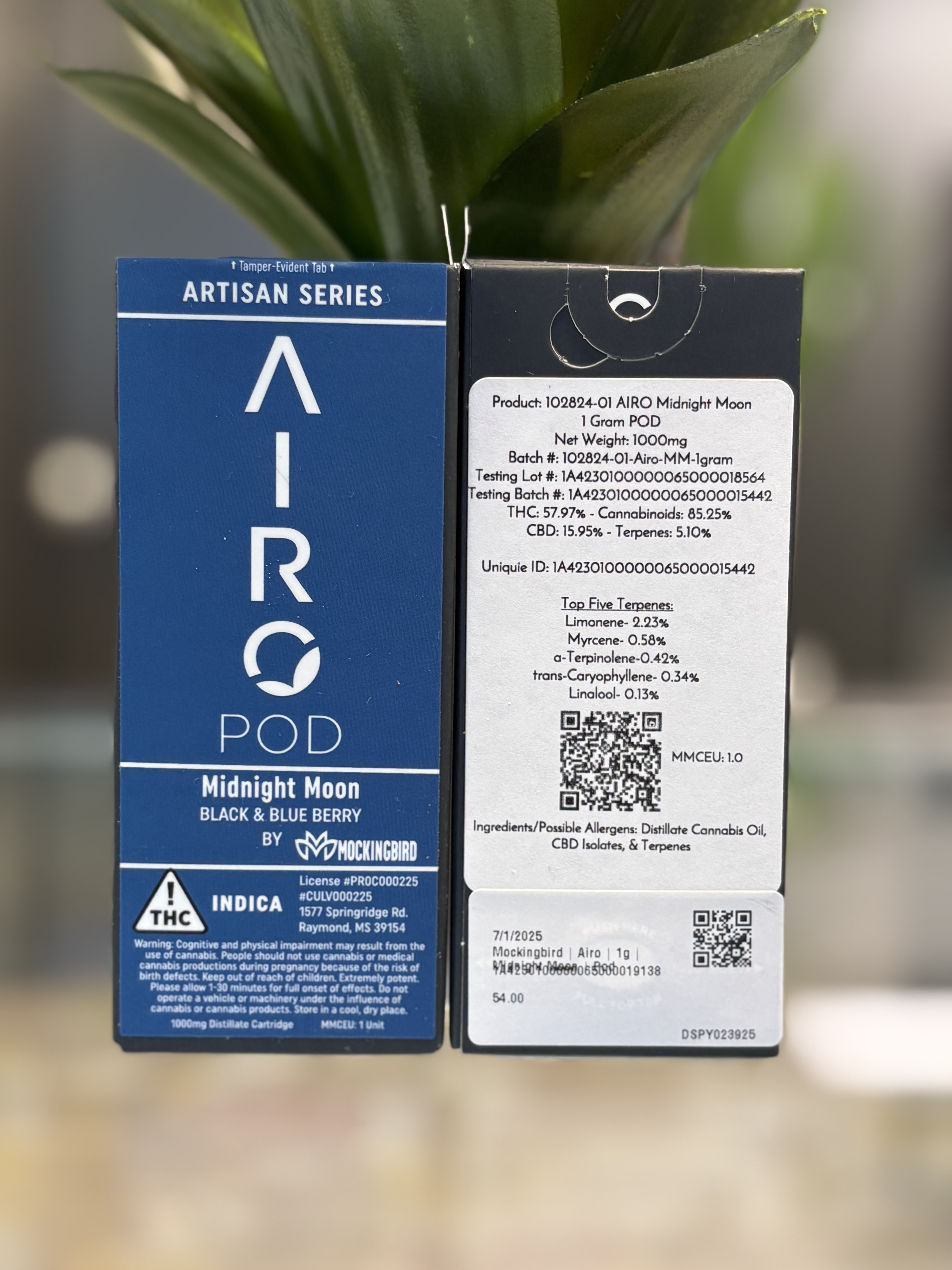 Photograph of product: Mockingbird | Airo | 1g | Midnight Moon | Pod