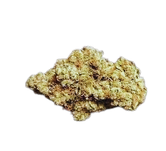 Photograph of product: Kimber Slice Flower by Special Blend Gardens - 28g