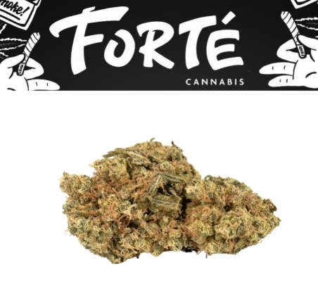Photograph of product: FORTE-PACKED FLOWER-BABY YODA - 3.5g