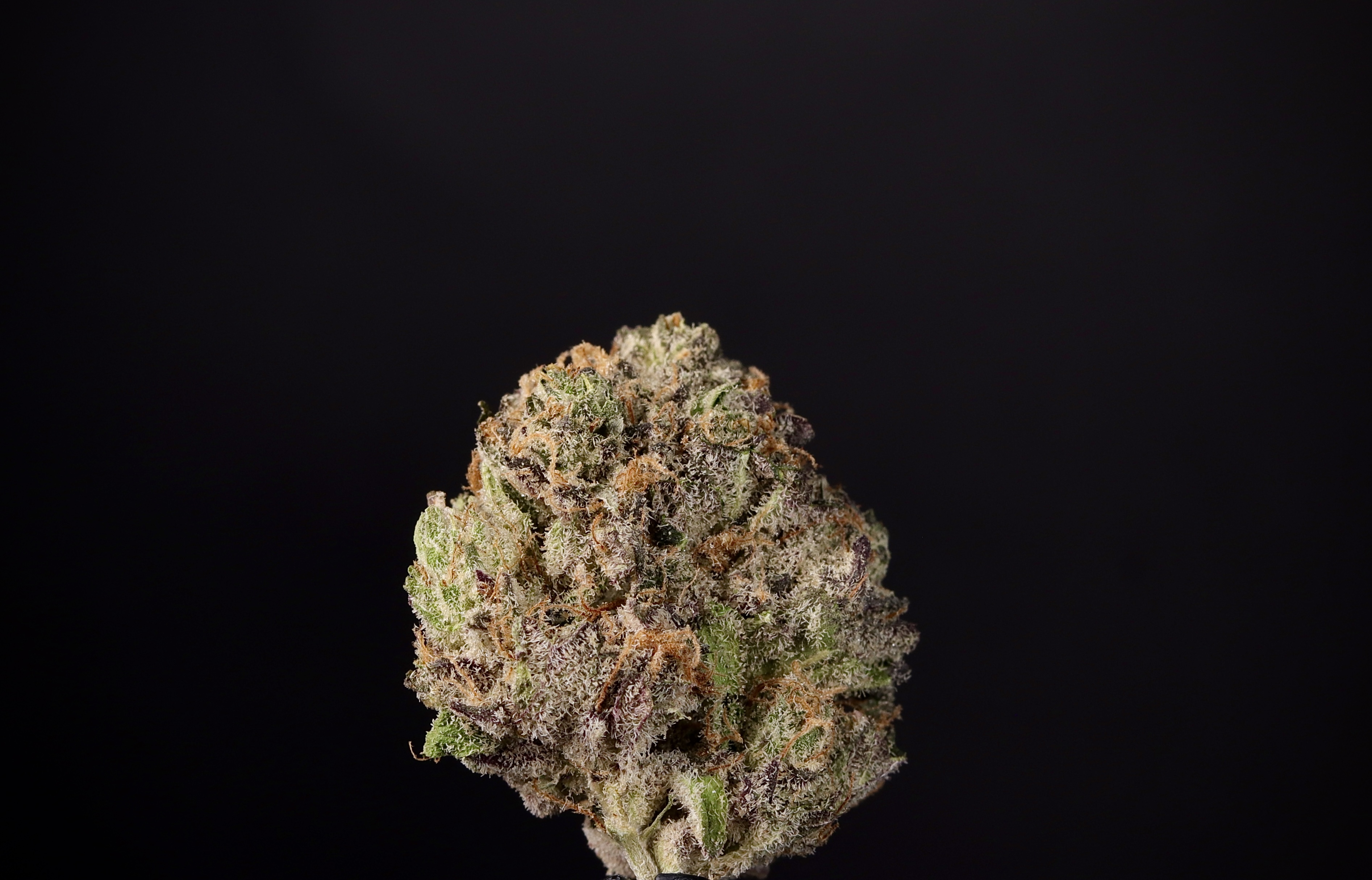 Photograph of product: Loma Prieta - Landrace Oui'd Co. - 1g