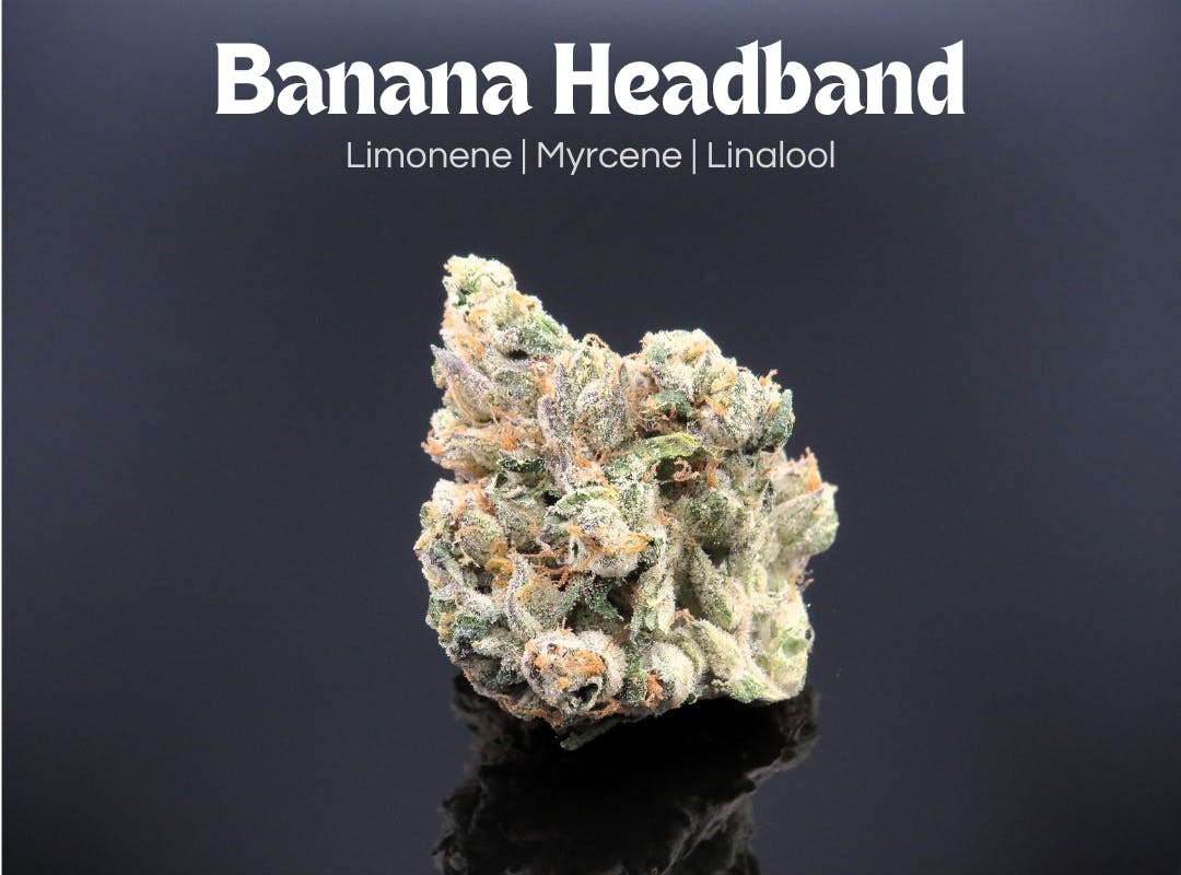 Photograph of product: Banana Headband
