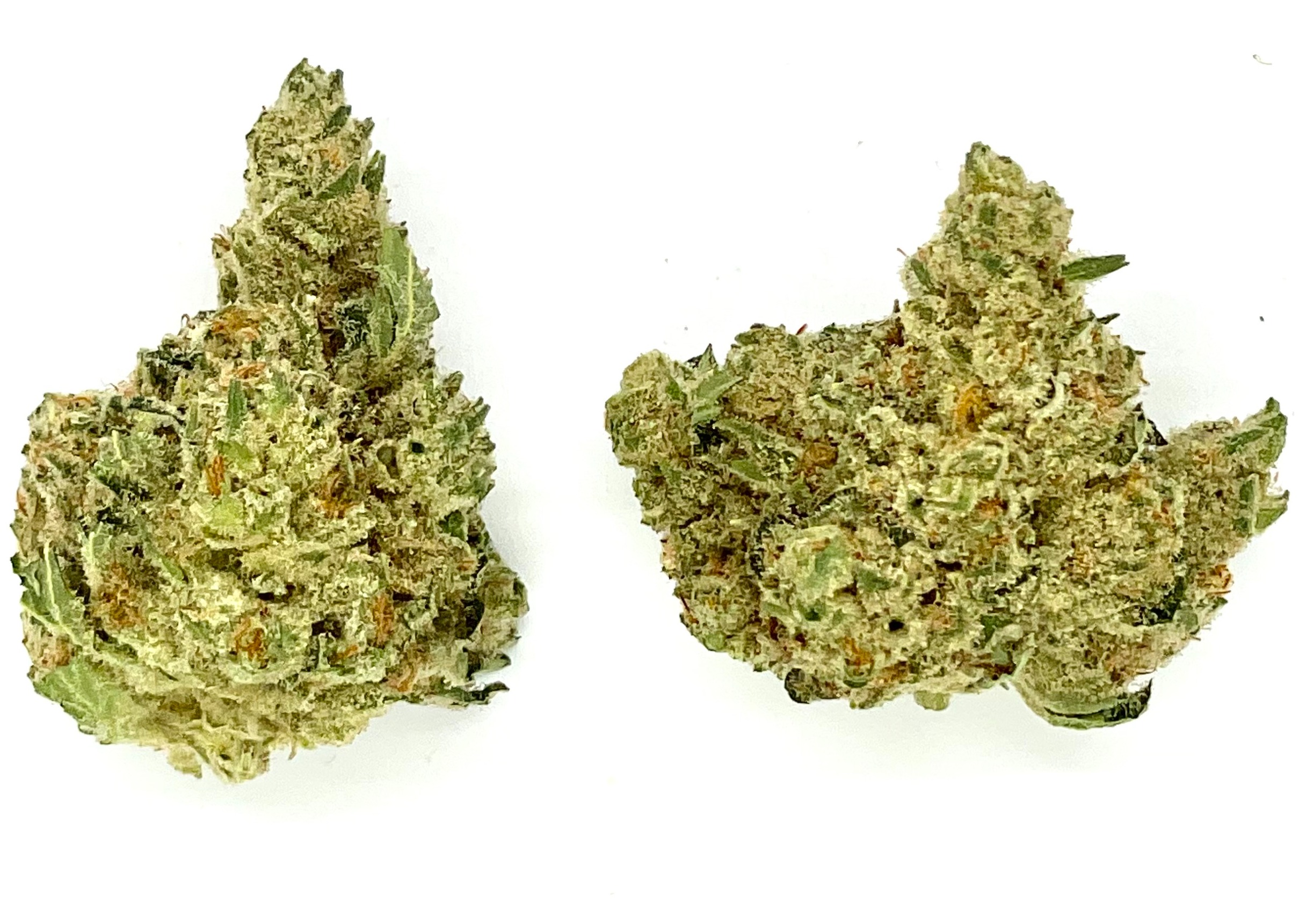 Photograph of product: Buds | Apricot Scone - 28g