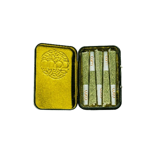Photograph of product: CAM | Bubbas Girl Pre-Roll (5 Pack) | 3.5g