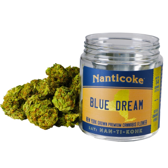 Photograph of product: Nanticoke Jar - Blue Dream - 14g