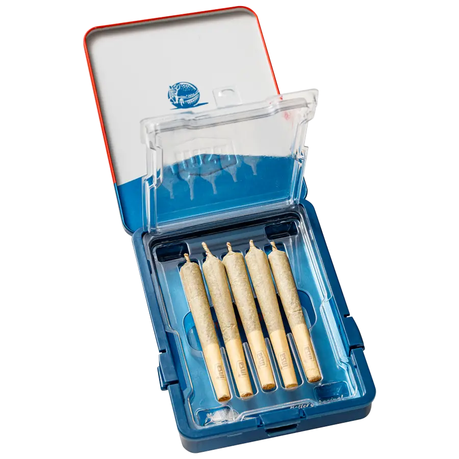 Photograph of product: INSA | PRJ Multi Pack | Blue Slushie (H) | 0.5g 5pk