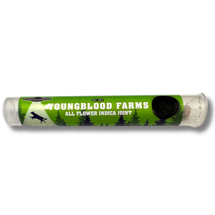 Photograph of product: Blueberry Pancakes Solventless Bubble au chocolat Extract (Youngblood Farms)