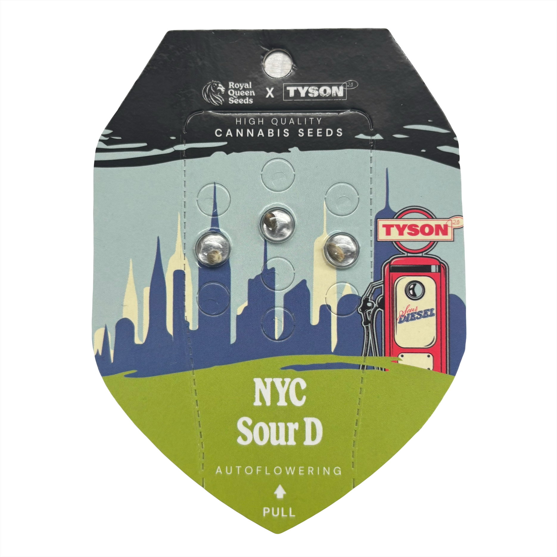 Photograph of product: NYC Sour Diesel (AUTO) - 3 SEEDS