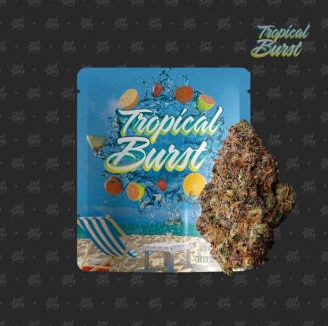 Photograph of product: Seed Junky-Tropical Burst-3.5g