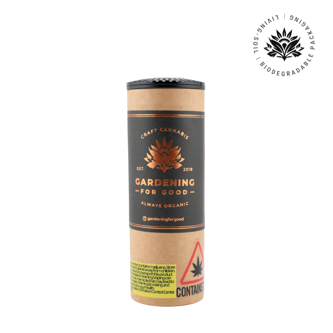 Photograph of product: Sour Diesel - 5pk 1g Pre-Roll