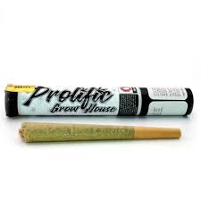 Photograph of product: BUBBA KUSH