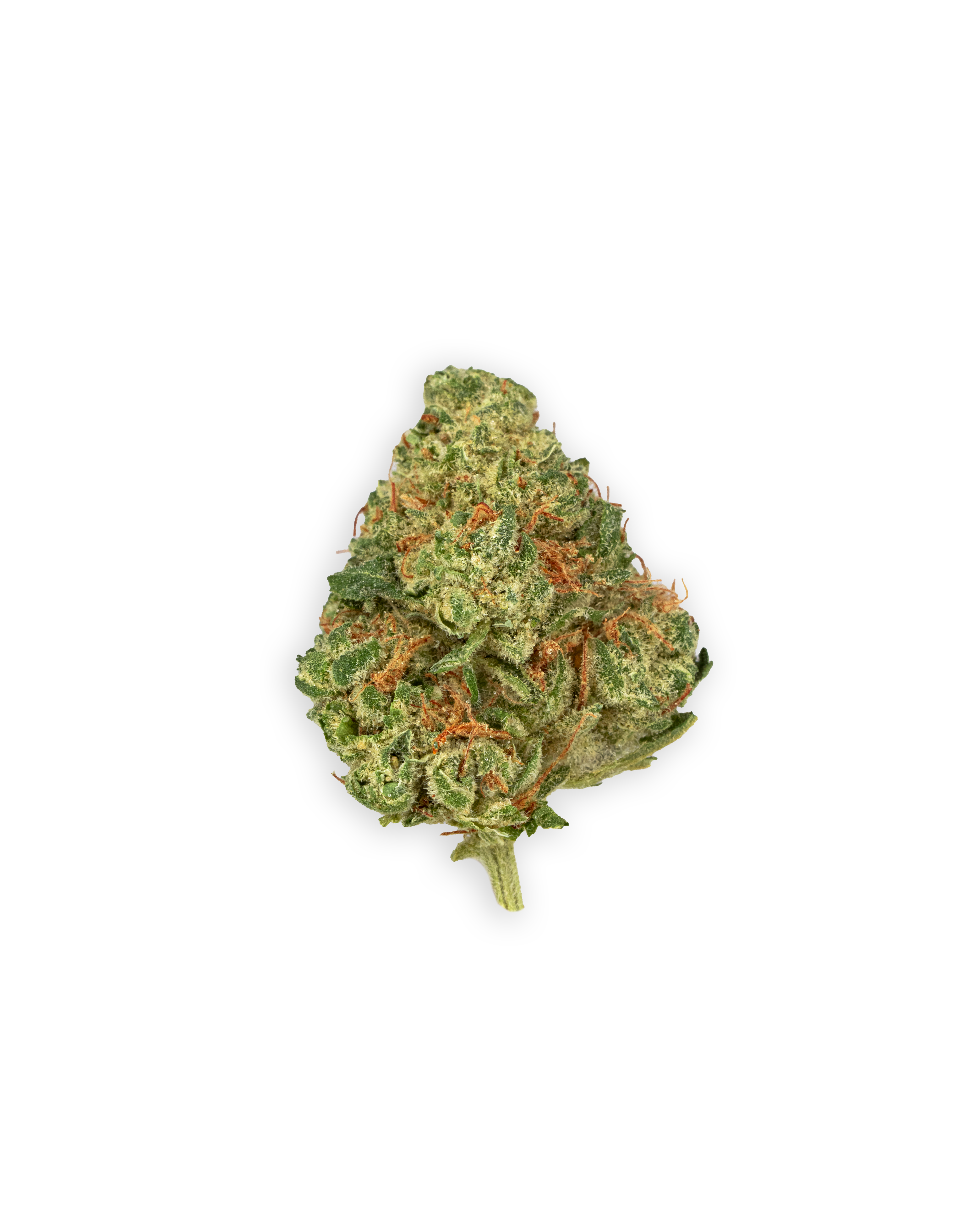 Photograph of product: Indoor BANANA DIESEL | 14 g - 14g