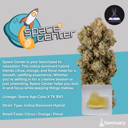 Photograph of product: Space Center Cured Shatter Concentrate 0.5g (H)