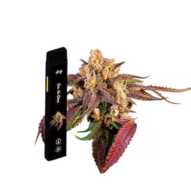 Photograph of product: Drip Vapes | Do-Si-Dos | 2g Disposable Vape