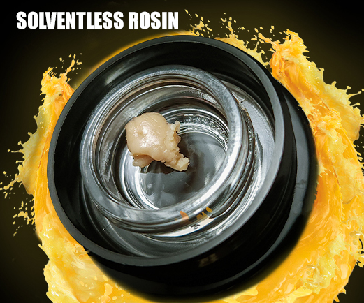 Photograph of Product: Solventless Live JOMO Rosin 1g