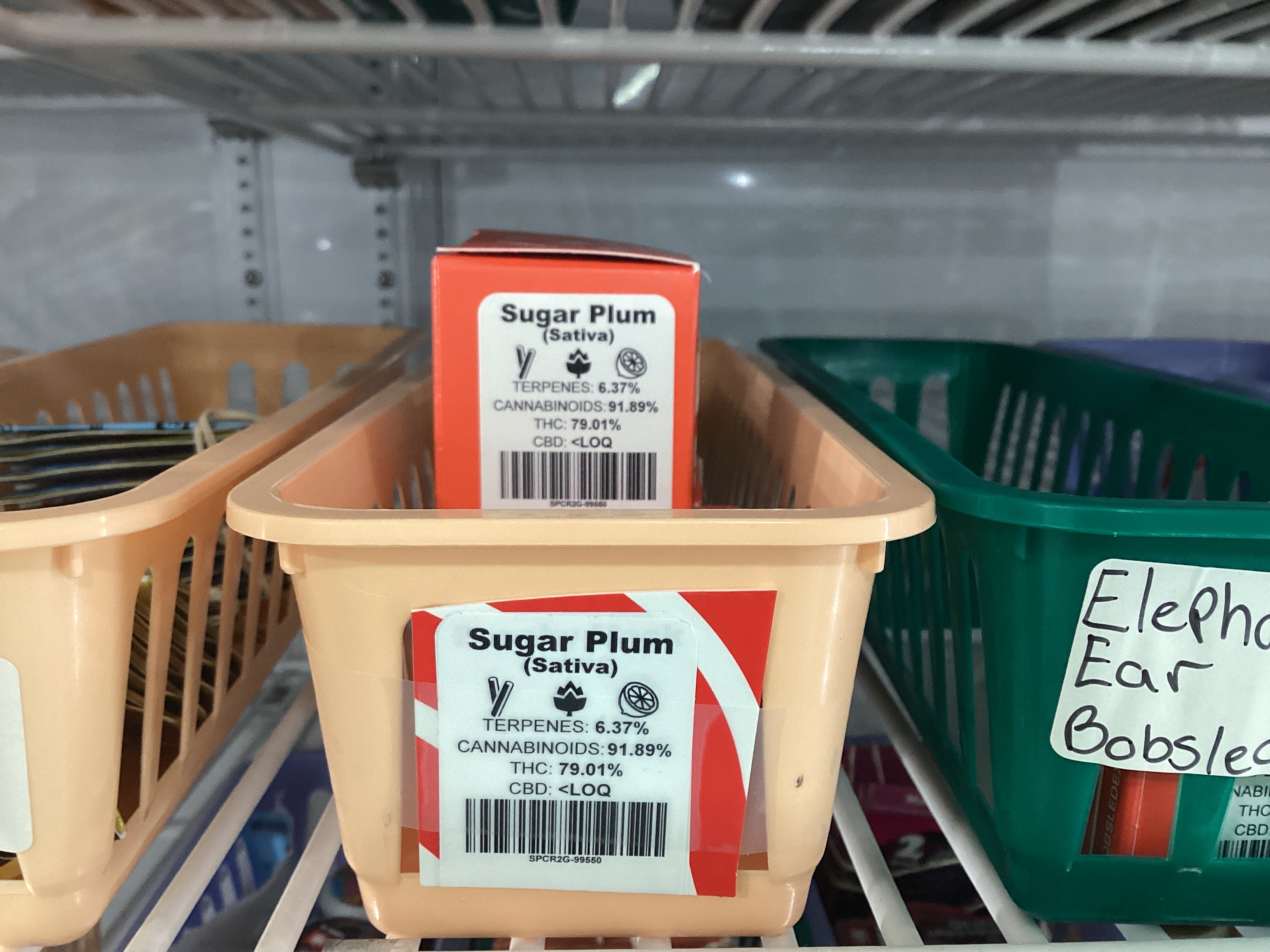 Photograph of product: Bobsled Sugar Plum Cured Resin
