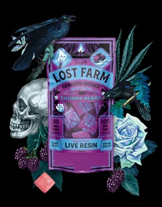 Photograph of product: Lost Farm | Thornyberry "SuperSonic Bananas" 1:1 THC/CBN (H) 10pk/100mg LR Gummies