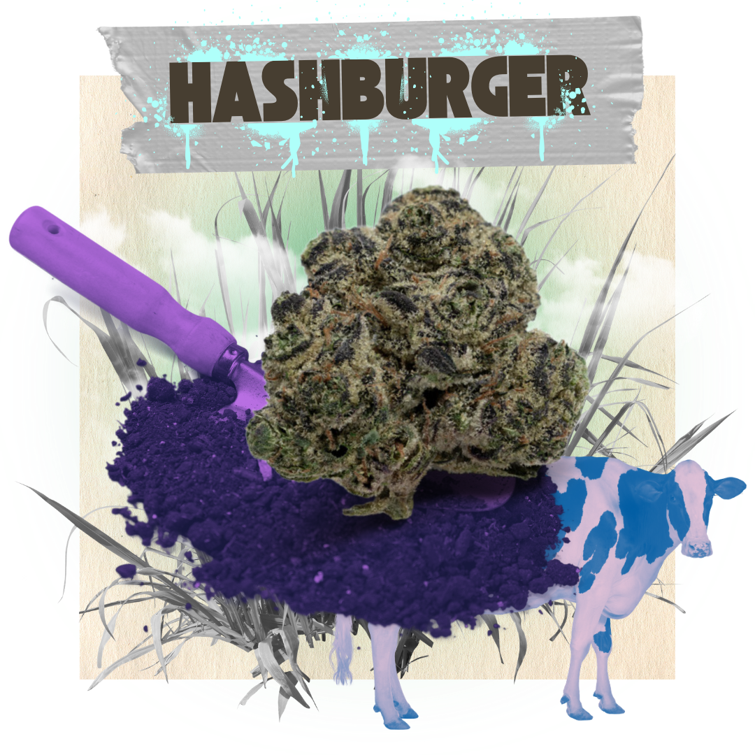 Photograph of product: Belushi's Farm - au chocolat Burger - 3.5g