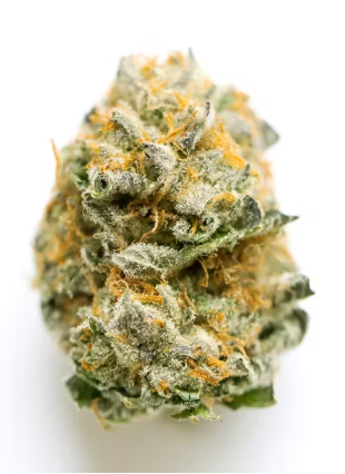 Photograph of product: HH Jet Fuel Gelato 3.5g Flower