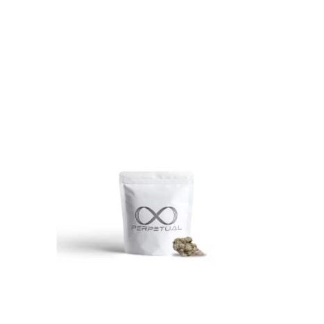 Photograph of product: Perpetual Tropic Bliss 3.5g Infused Ready to Roll