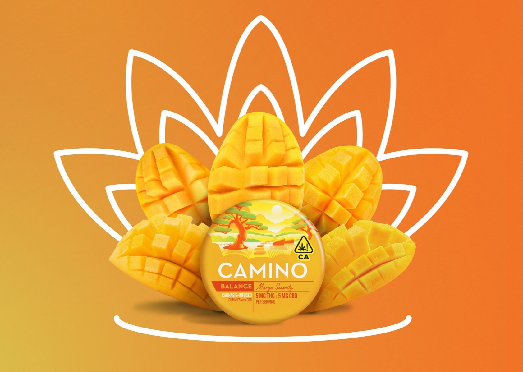 Photograph of product: Mango Serenity 1:1 THC:CBD Balance Gummies 20pk