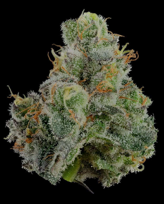 Photograph of product: Space Runtz Smalls - 3.5g