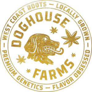 Photograph of product: Doghouse | Bomb Sauce - 28g