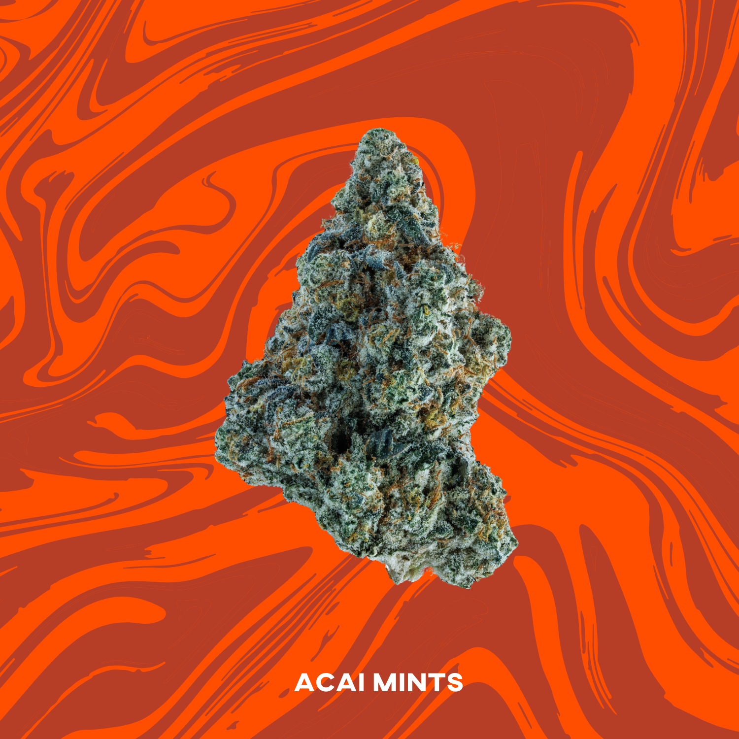 Photograph of product: Acai Mints - 3.5g