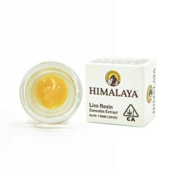 Photograph of product: Purple Dream Terp Badder 1G - 