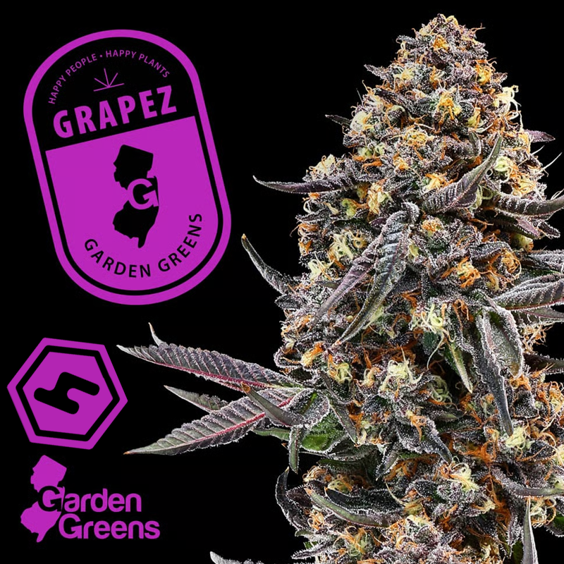 Photograph of product: Garden Greens | Grapez | 7g