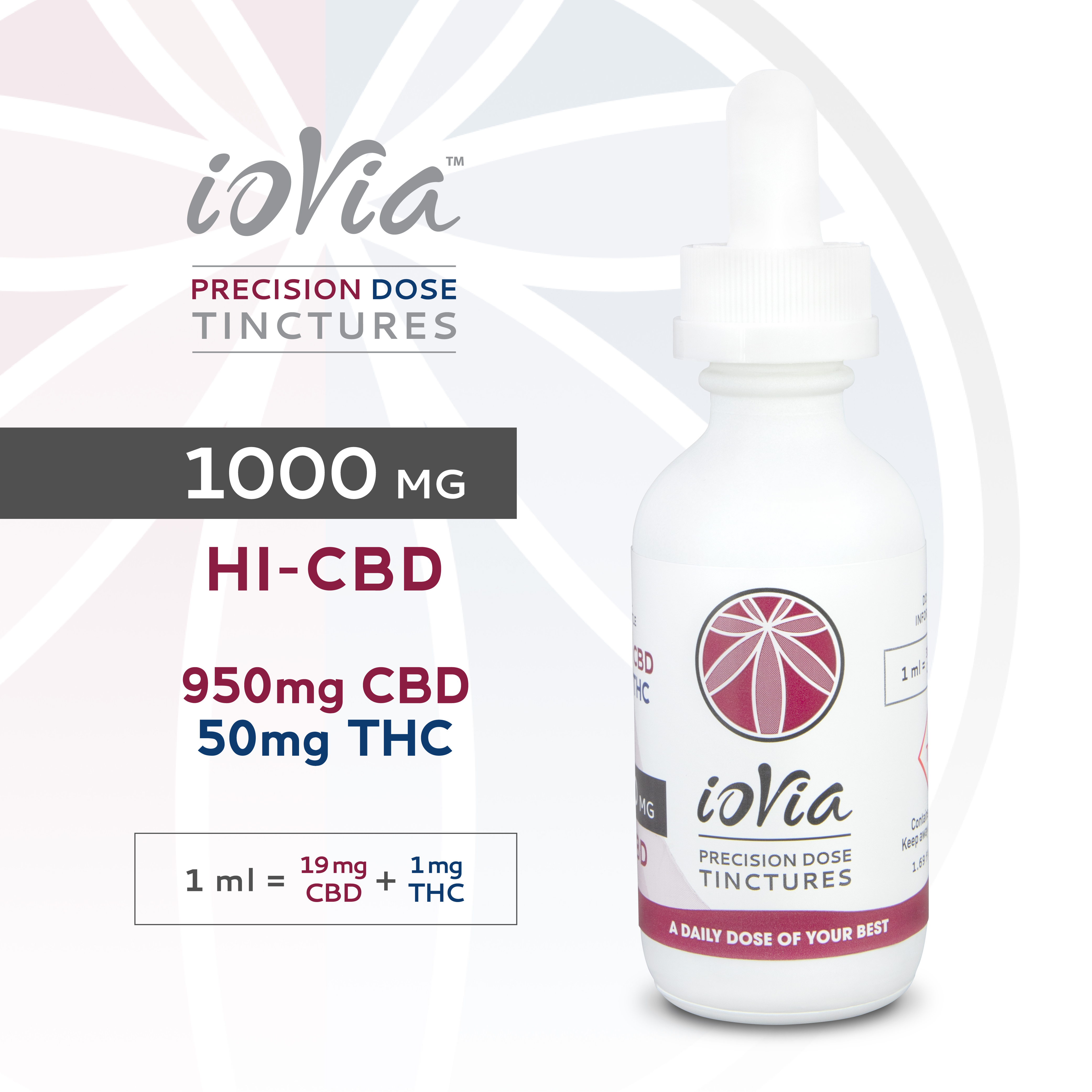 Photograph of product: 19:1 Hi-CBD Precision Dose Tincture | 1000mg