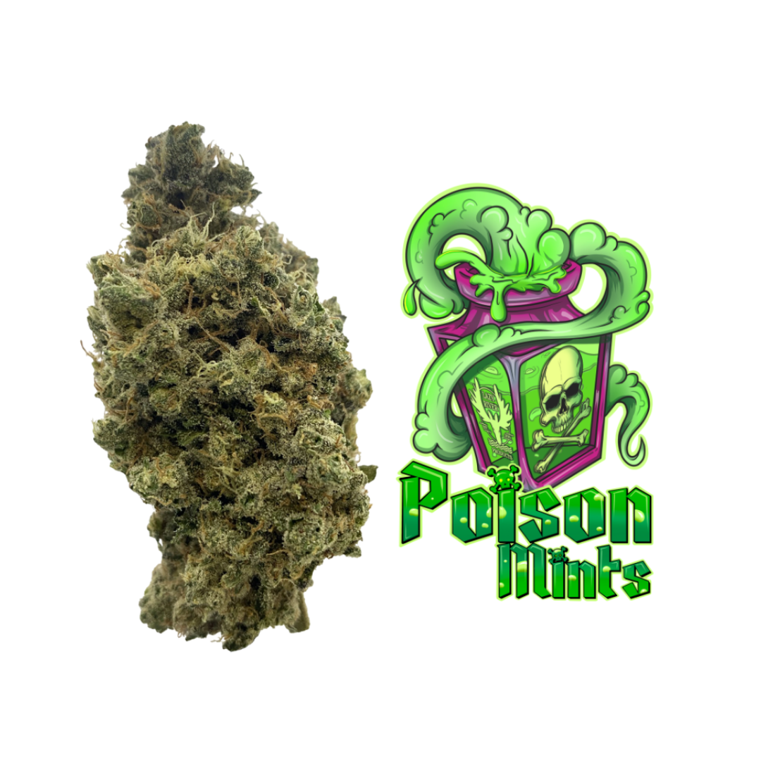 Photograph of product: Poison Mints Popcorn Buds (TAX INCLUDED) - 3.5g