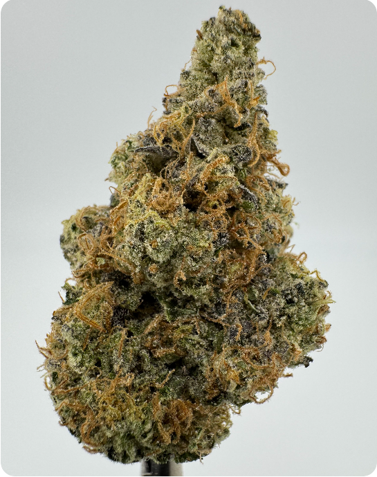 Photograph of product: Medellin | Whole Flower | 3.5g