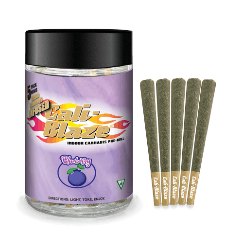 Photograph of product: Blueberry Infused - 5 Pack