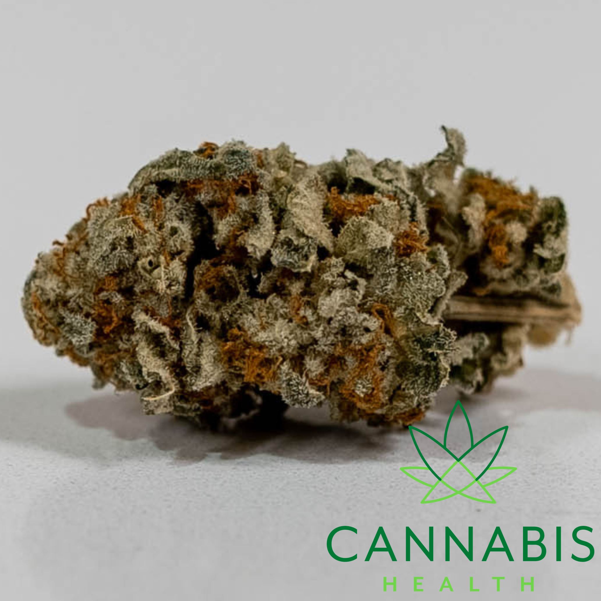 Photograph of product: DNS | Ghost Magic OG | 1/8 Flower - 3.5g