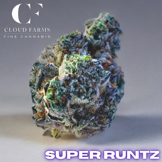 Photograph of product: Cloud Farms | Super Runtz - 28g