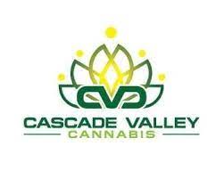 Photograph of Product: Chroma 10 PK Joints (CVC)