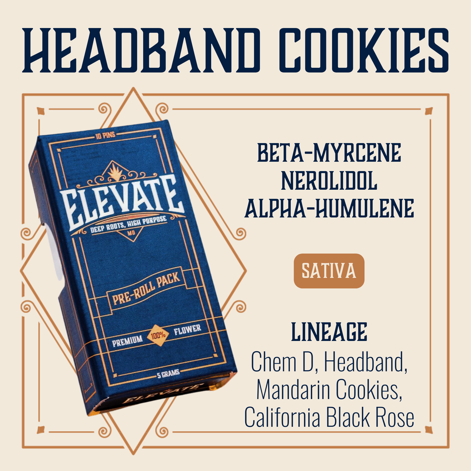Photograph of product: Headband Cookies Pins Pre-Roll | 10-pack
